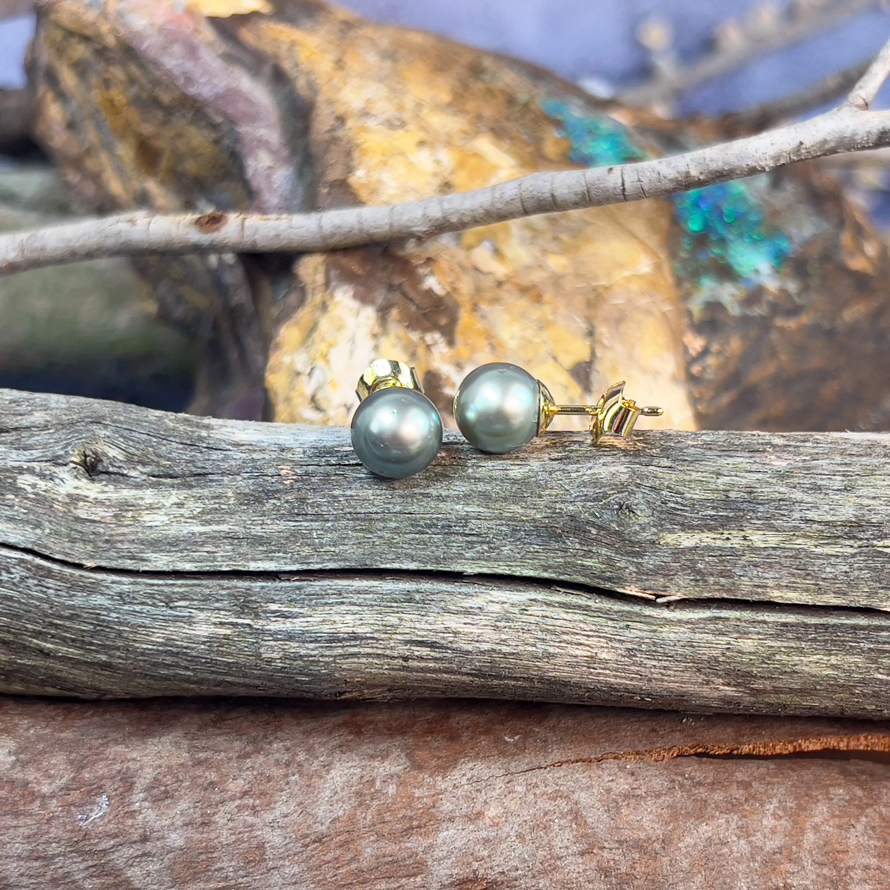 18kt Yellow Gold Tahitian 9mm Pearl studs
