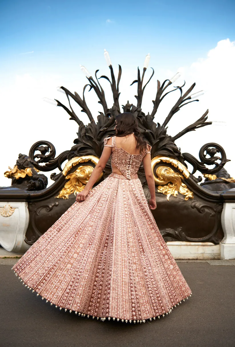 Caramel Brown Embroidered Lehenga Set