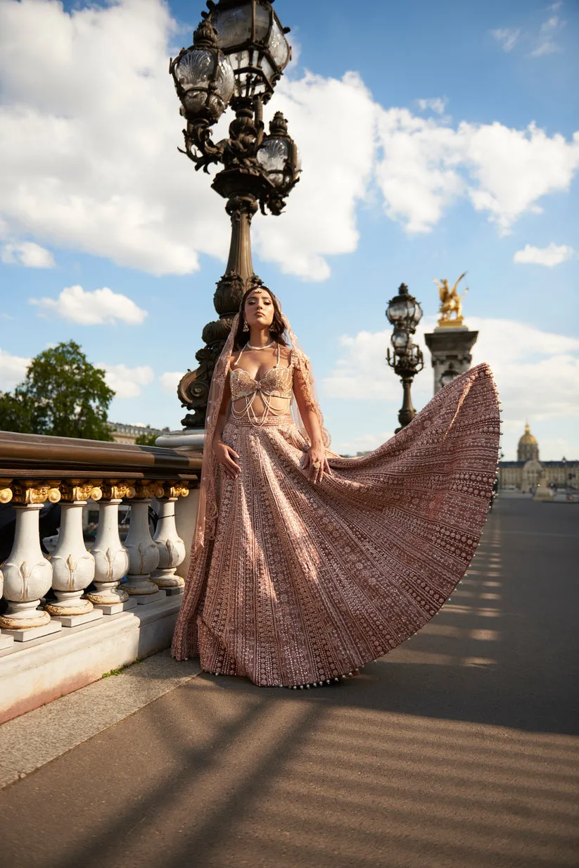 Caramel Brown Embroidered Lehenga Set