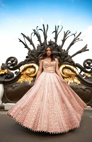 Caramel Brown Embroidered Lehenga Set