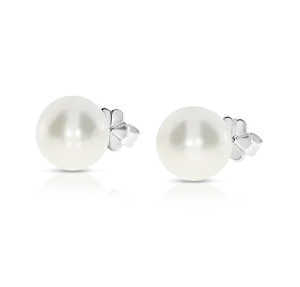 South Sea Pearl Stud Earrings